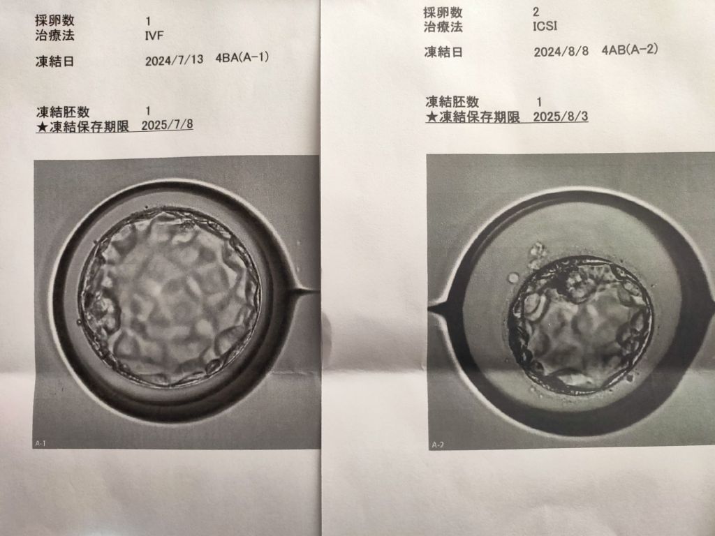 img202408251113268132102485959859952