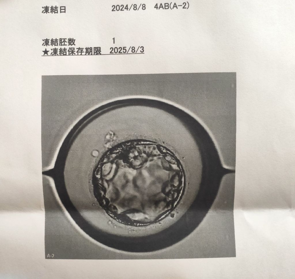 img_20240811_211125236507440818970229