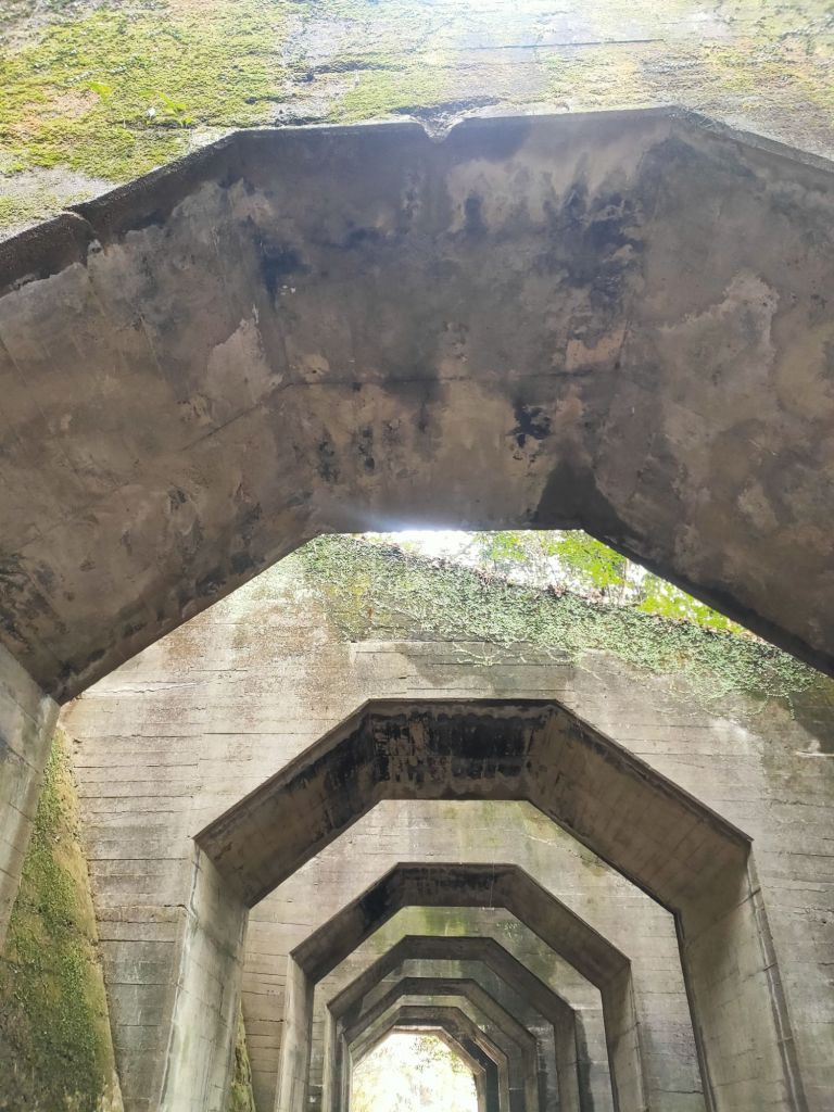 img202501151532428925203914726386468