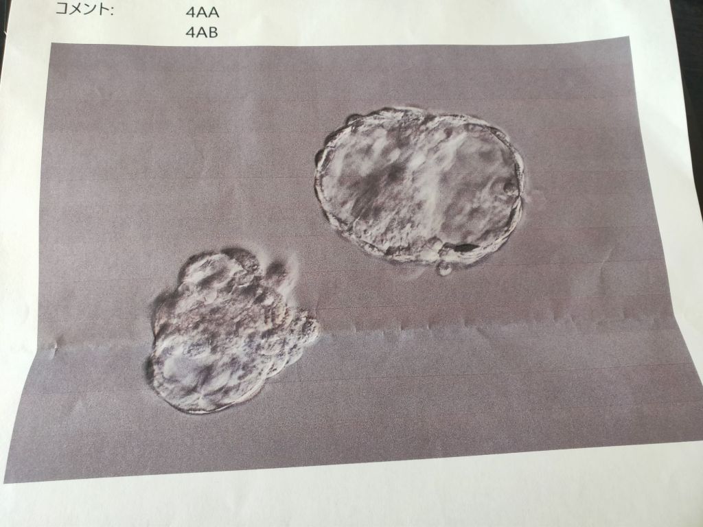 img202504291045388464555928839948248