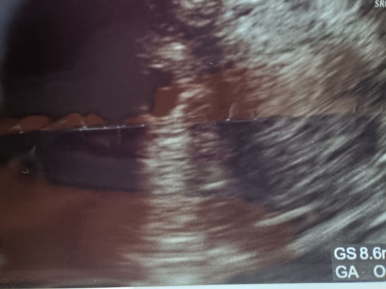 img20250720120016567325219867364556